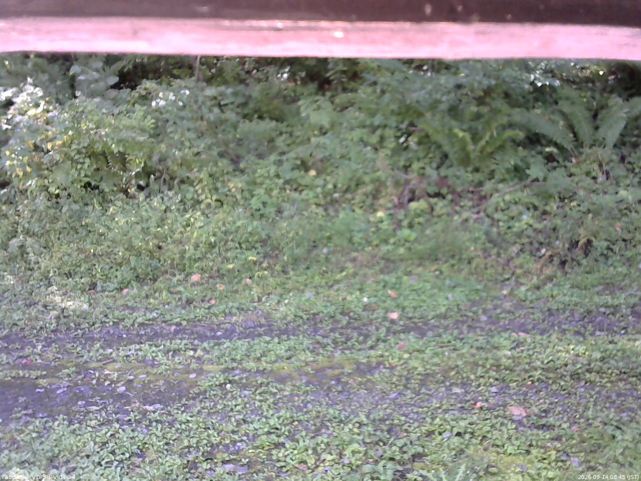 長野県菅平高原 ゆたか山荘 東側(坂下) 2026/09/14 08:45