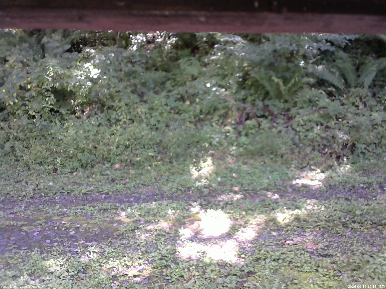 長野県菅平高原 ゆたか山荘 東側(坂下) 2026/09/14 12:15