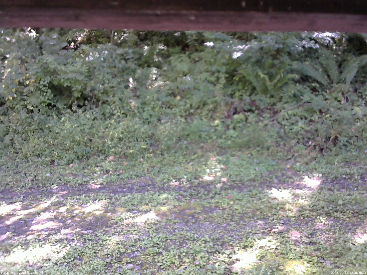 長野県菅平高原 ゆたか山荘 東側(坂下) 2026/09/14 12:30