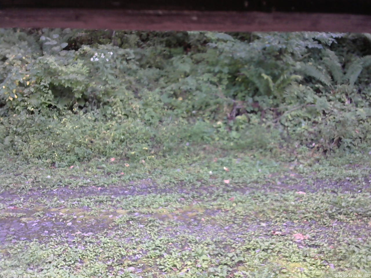 長野県菅平高原 ゆたか山荘 東側(坂下) 2026/09/14 12:45
