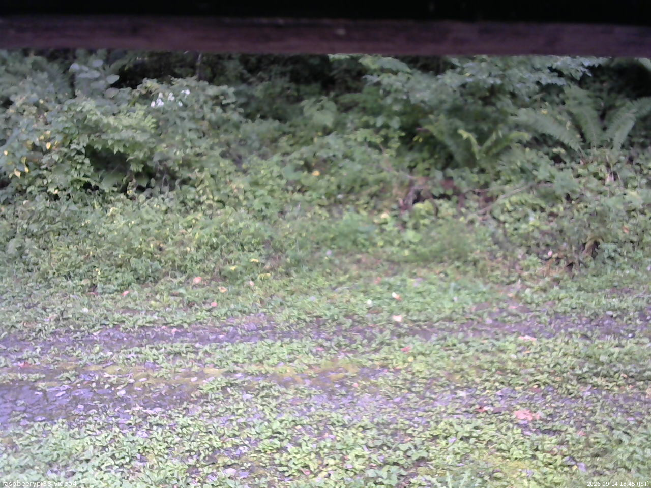 長野県菅平高原 ゆたか山荘 東側(坂下) 2026/09/14 13:45