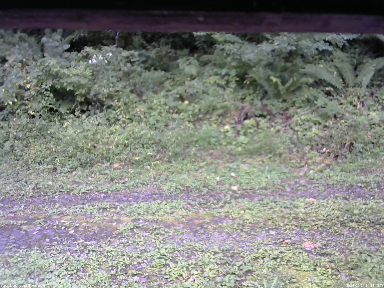 長野県菅平高原 ゆたか山荘 東側(坂下) 2026/09/14 14:15