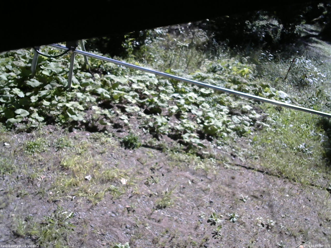 長野県菅平高原 ゆたか山荘 駐車場 2026/09/14 09:00