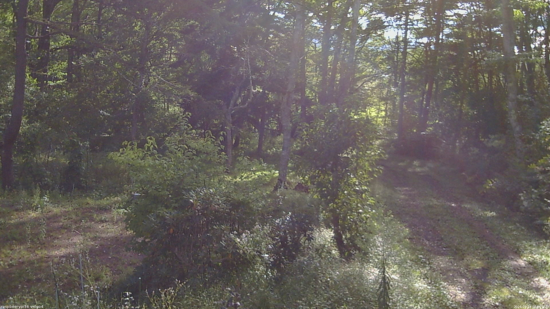 長野県菅平高原 ゆたか山荘 坂上 2026/09/14 08:00