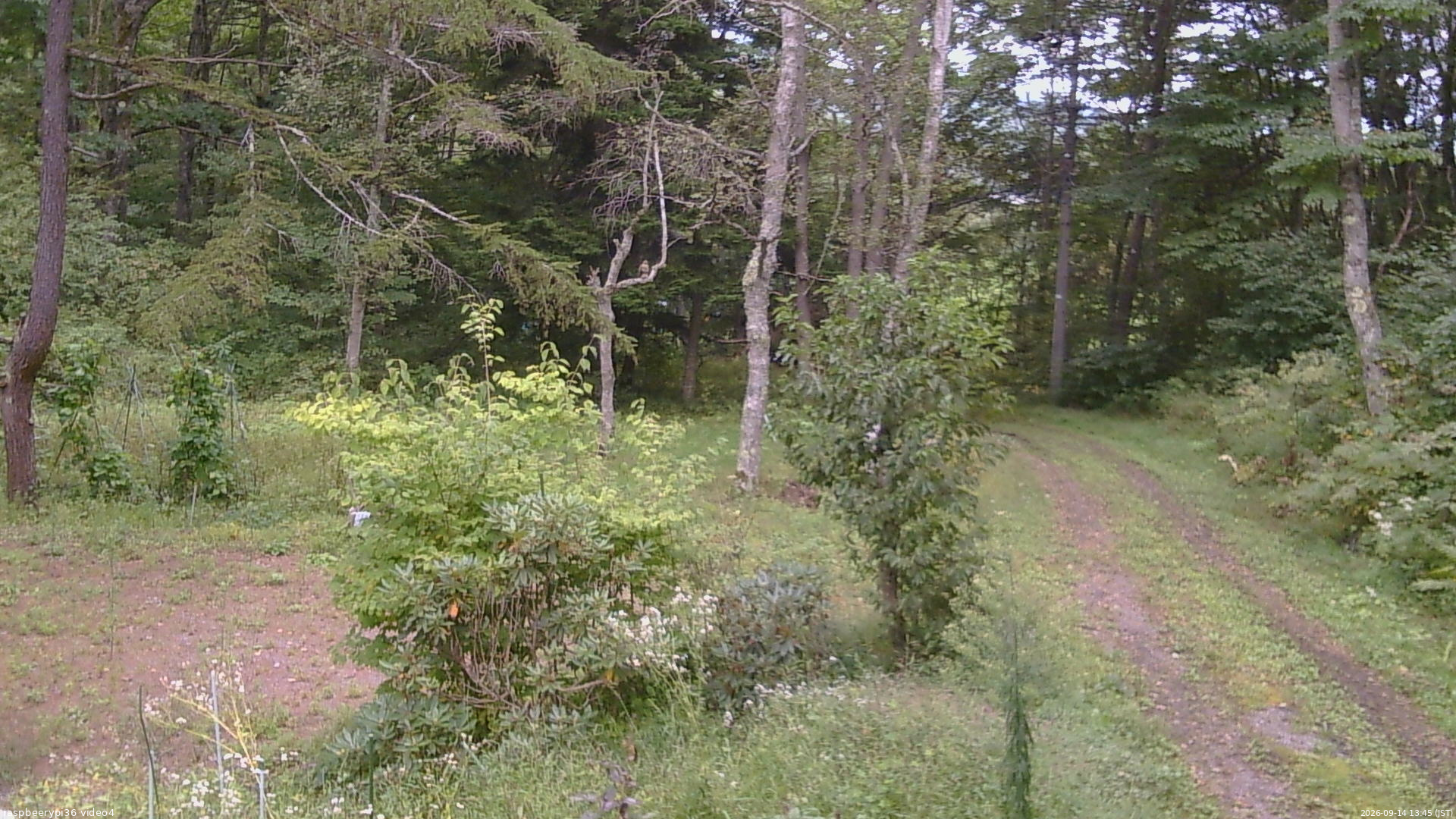 長野県菅平高原 ゆたか山荘 坂上 2026/09/14 13:45