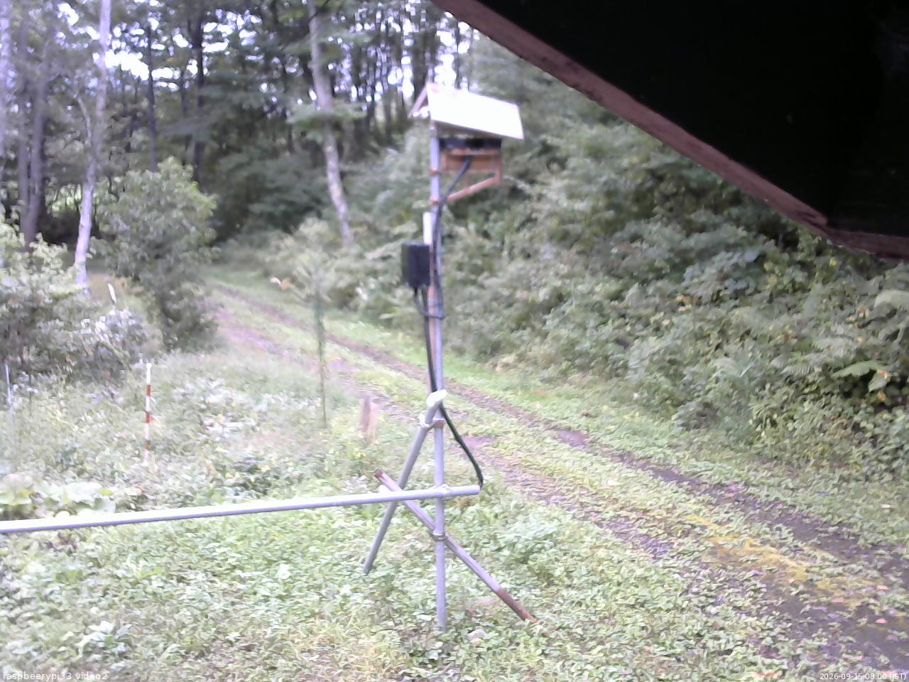 長野県菅平高原 ゆたか山荘 南側 2026/09/15 08:00