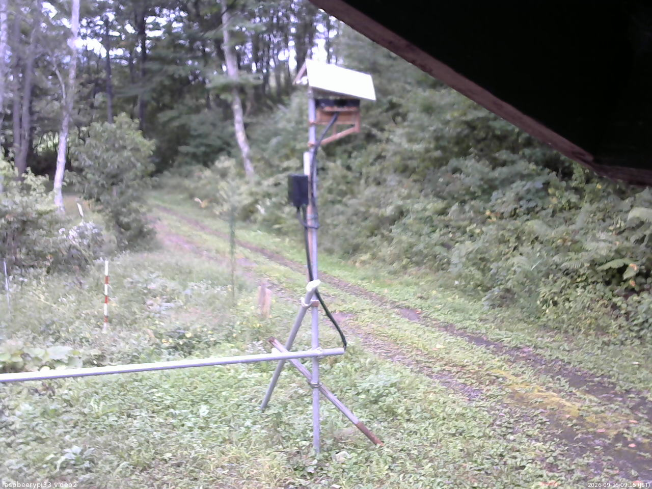 長野県菅平高原 ゆたか山荘 南側 2026/09/15 09:15