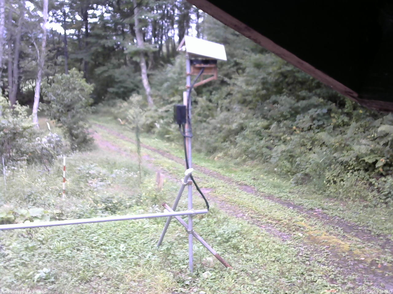 長野県菅平高原 ゆたか山荘 南側 2026/09/15 15:30