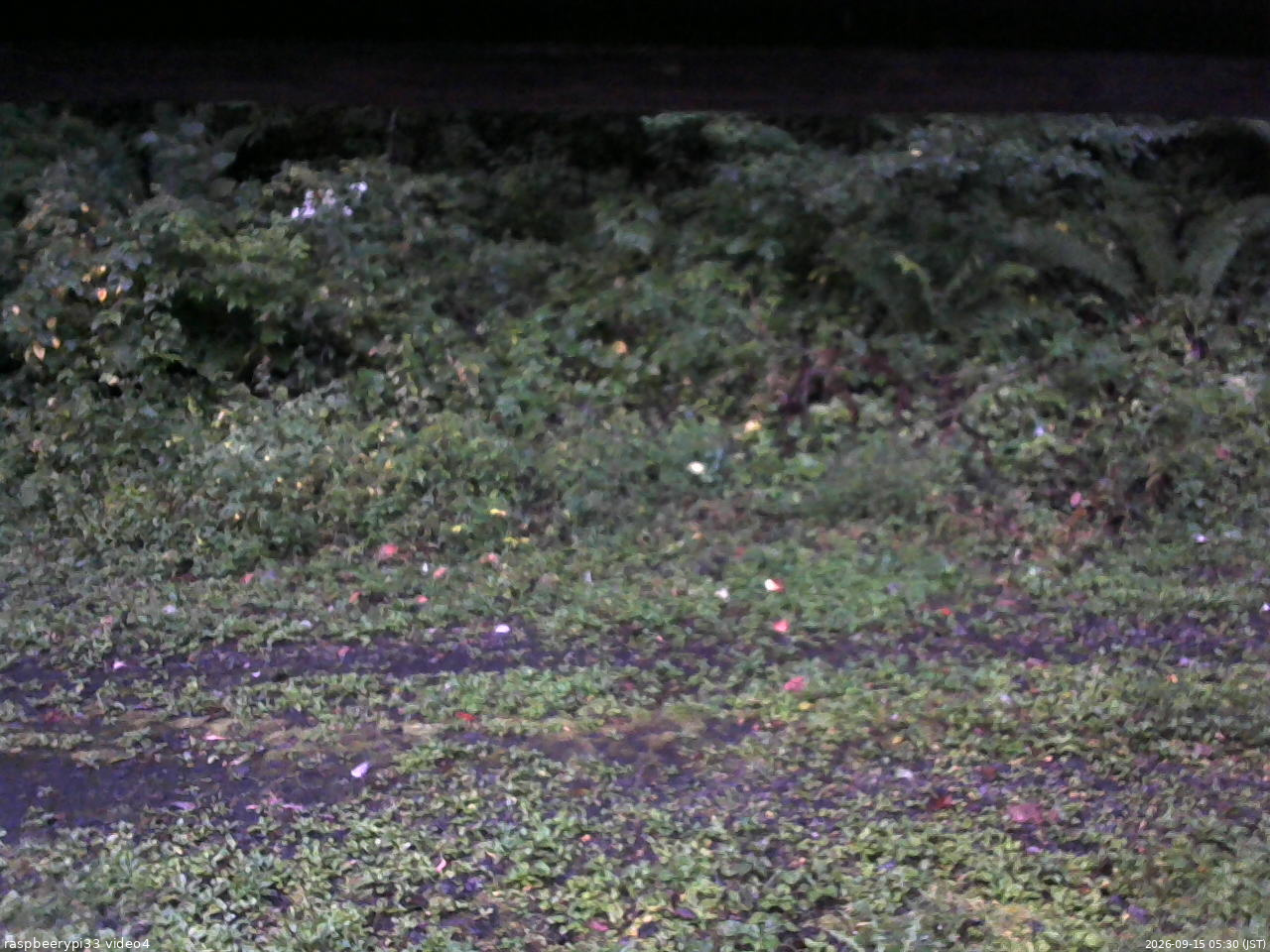 長野県菅平高原 ゆたか山荘 東側(坂下) 2026/09/15 05:30