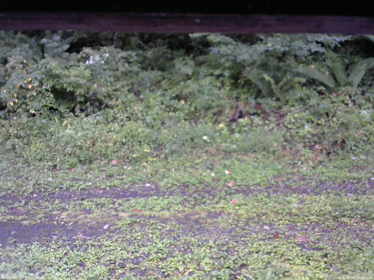 長野県菅平高原 ゆたか山荘 東側(坂下) 2026/09/15 06:15