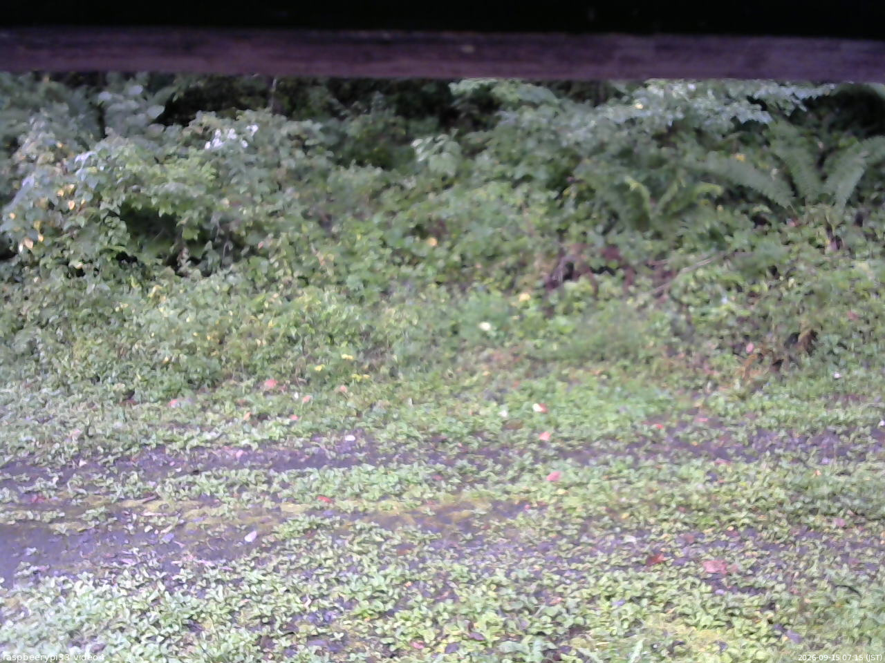 長野県菅平高原 ゆたか山荘 東側(坂下) 2026/09/15 07:15