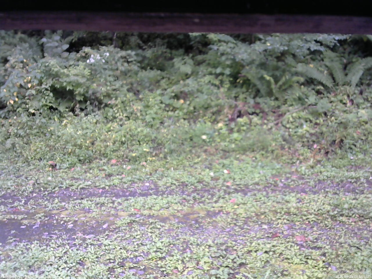 長野県菅平高原 ゆたか山荘 東側(坂下) 2026/09/15 08:15