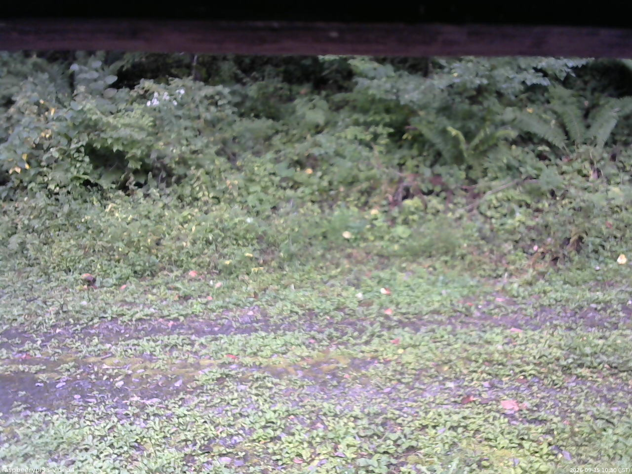 長野県菅平高原 ゆたか山荘 東側(坂下) 2026/09/15 10:30