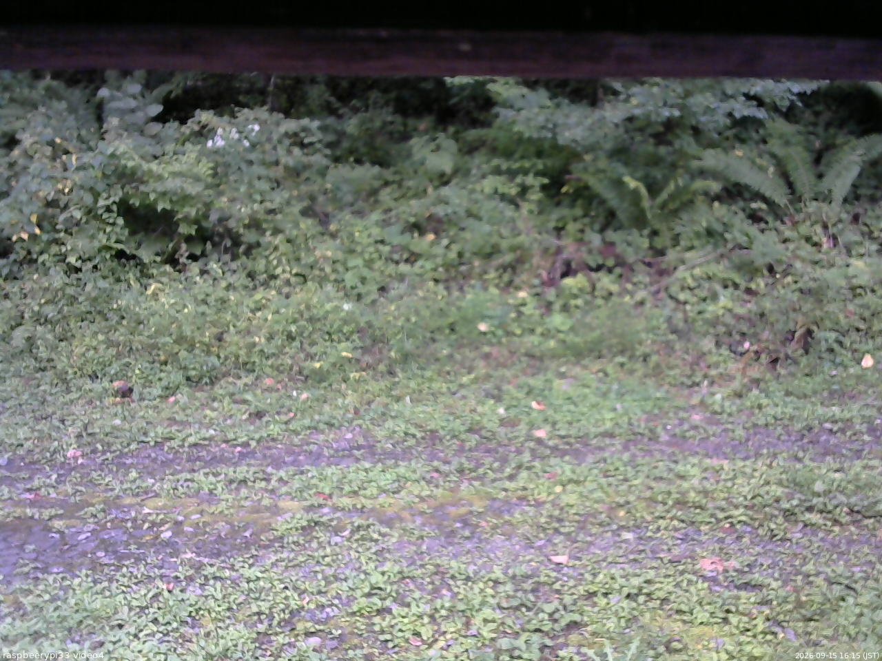 長野県菅平高原 ゆたか山荘 東側(坂下) 2026/09/15 16:15