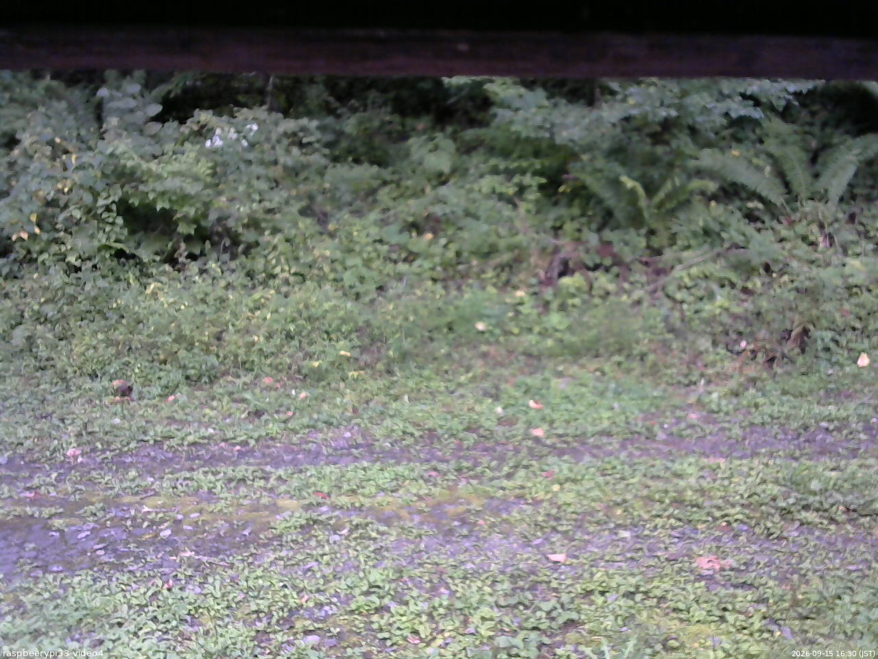 長野県菅平高原 ゆたか山荘 東側(坂下) 2026/09/15 16:30
