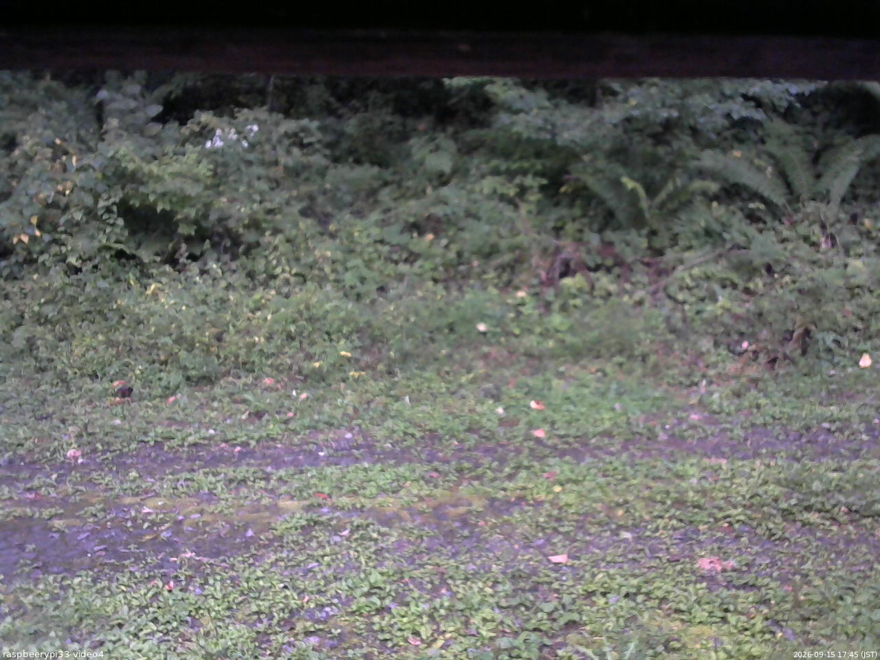 長野県菅平高原 ゆたか山荘 東側(坂下) 2026/09/15 17:45