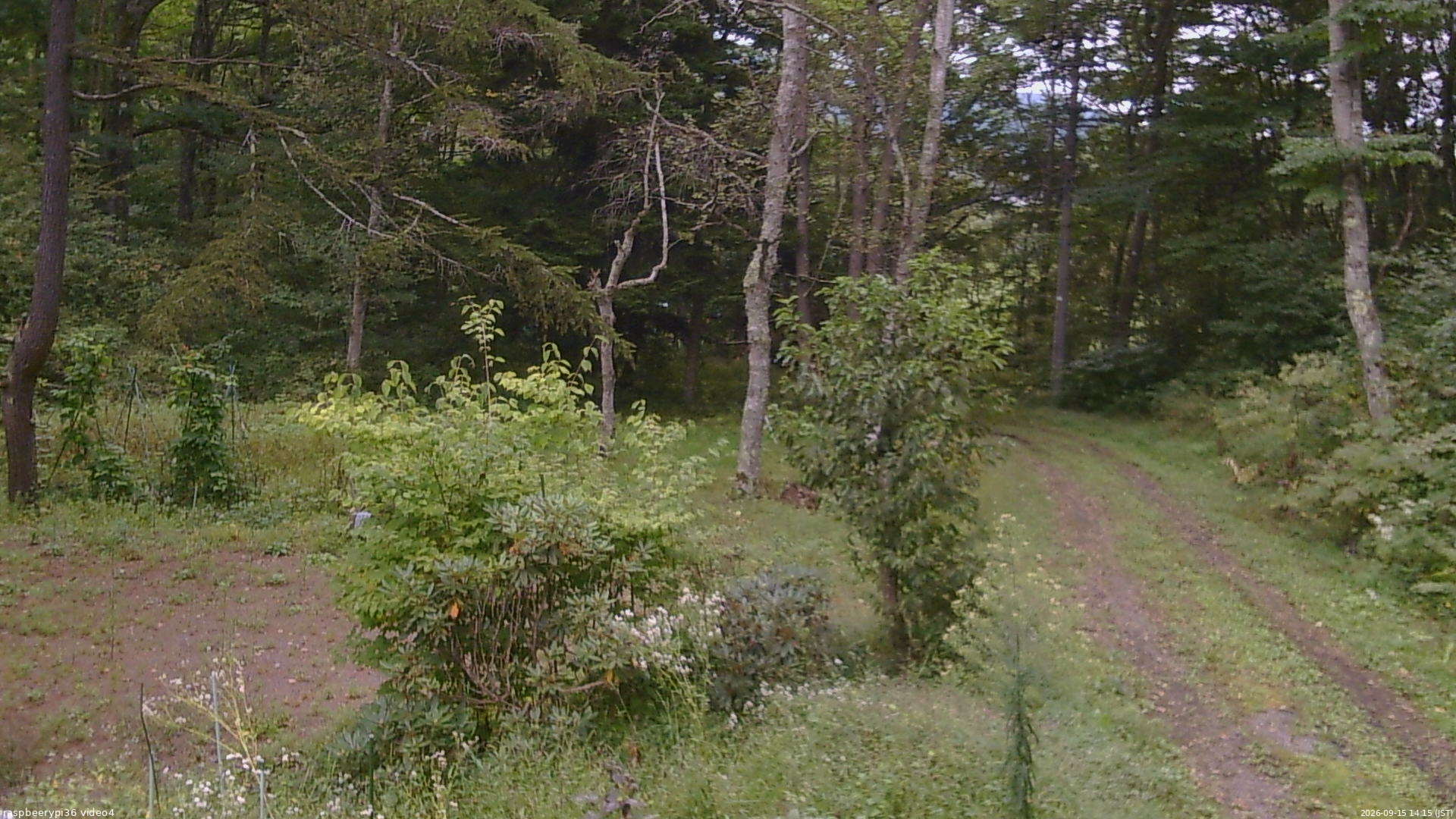 長野県菅平高原 ゆたか山荘 坂上 2026/09/15 14:15
