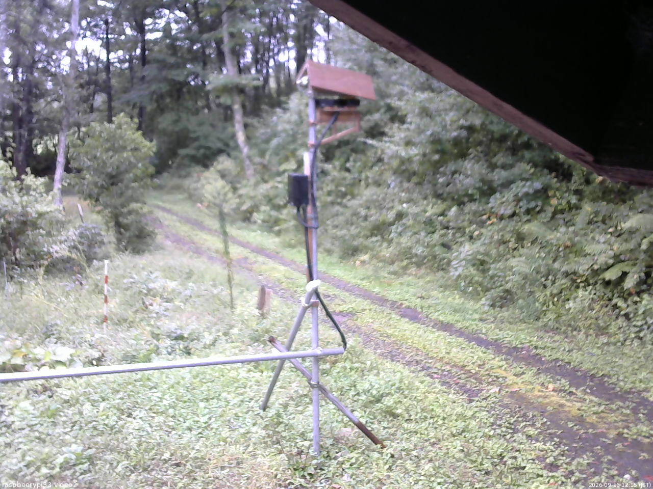 長野県菅平高原 ゆたか山荘 南側 2026/09/16 12:15