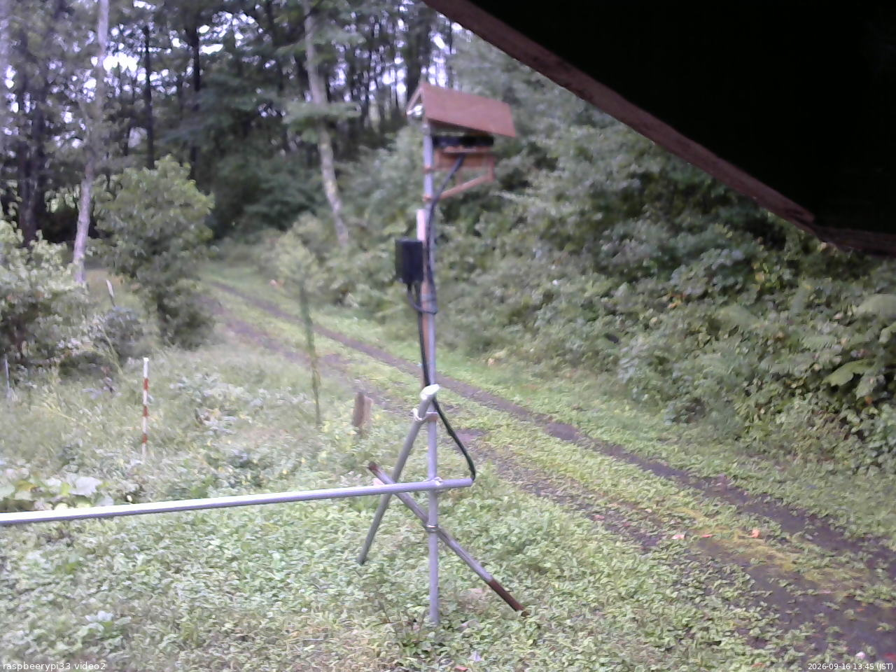 長野県菅平高原 ゆたか山荘 南側 2026/09/16 13:45