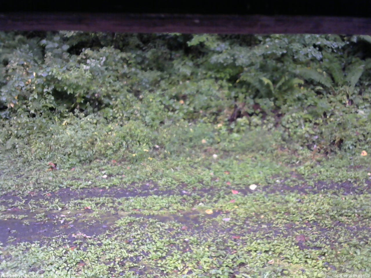 長野県菅平高原 ゆたか山荘 東側(坂下) 2026/09/16 09:30