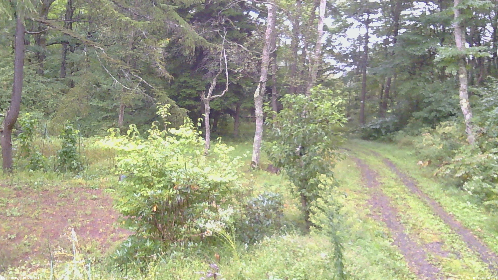 長野県菅平高原 ゆたか山荘 坂上 2026/09/16 06:30