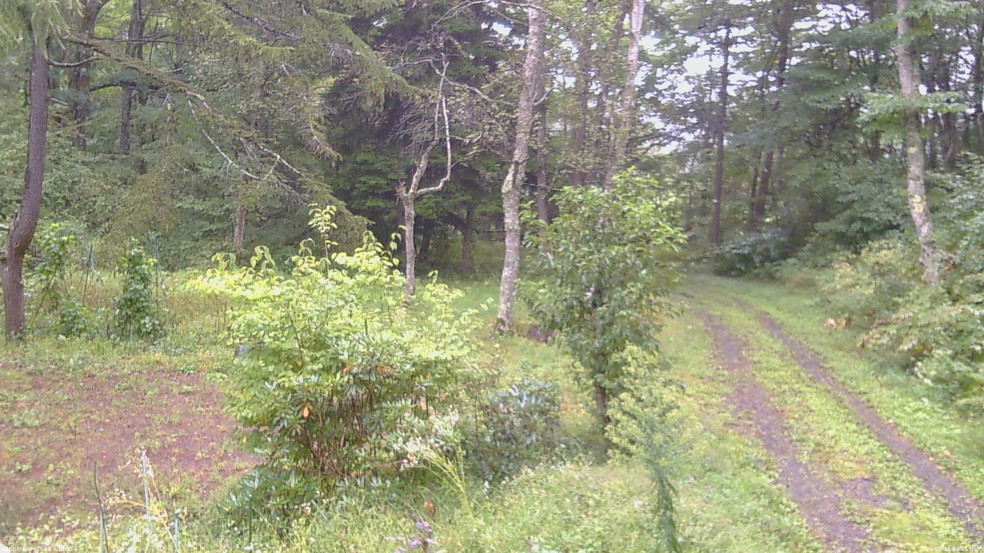 長野県菅平高原 ゆたか山荘 坂上 2026/09/16 07:15