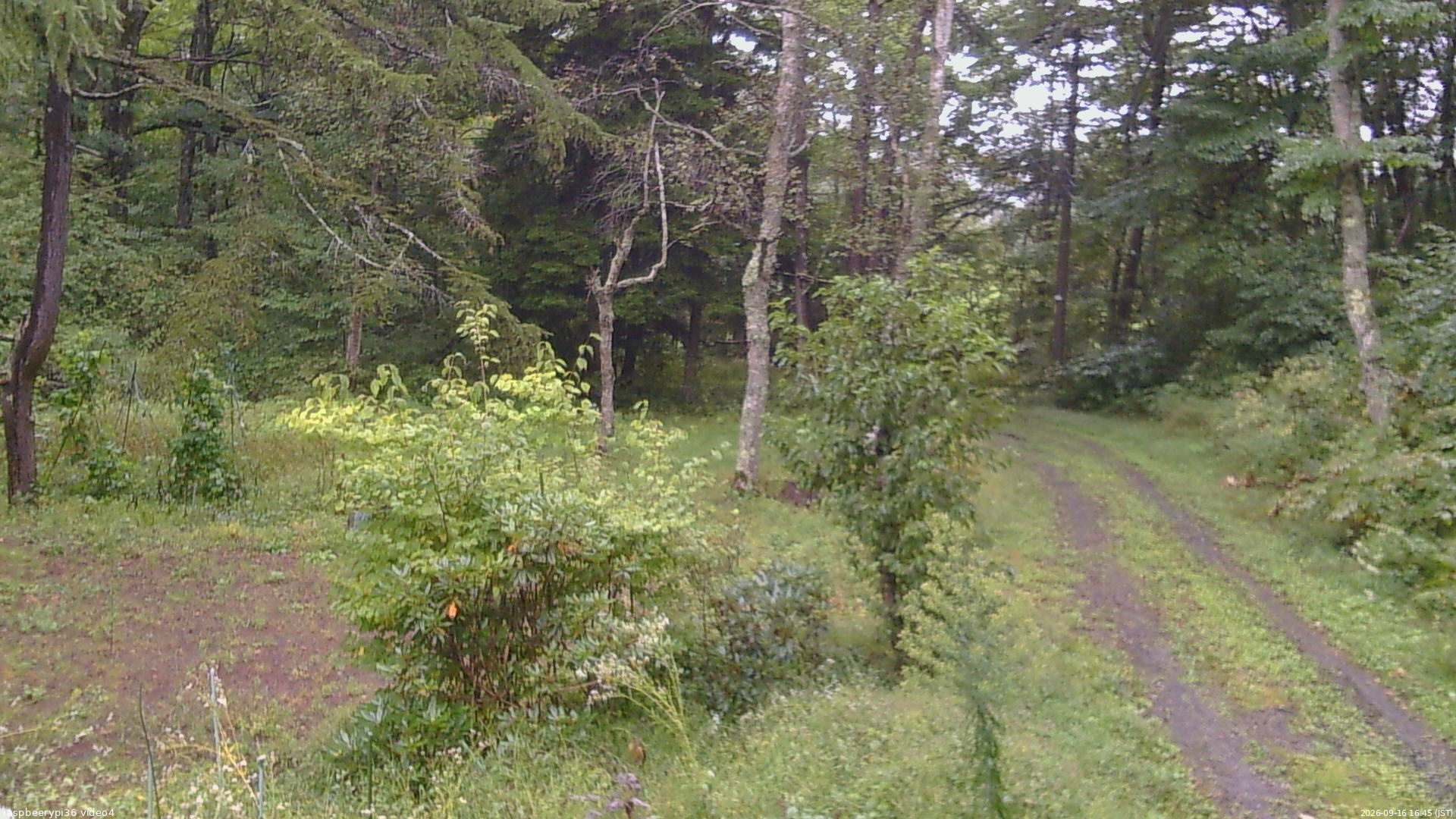 長野県菅平高原 ゆたか山荘 坂上 2026/09/16 16:45