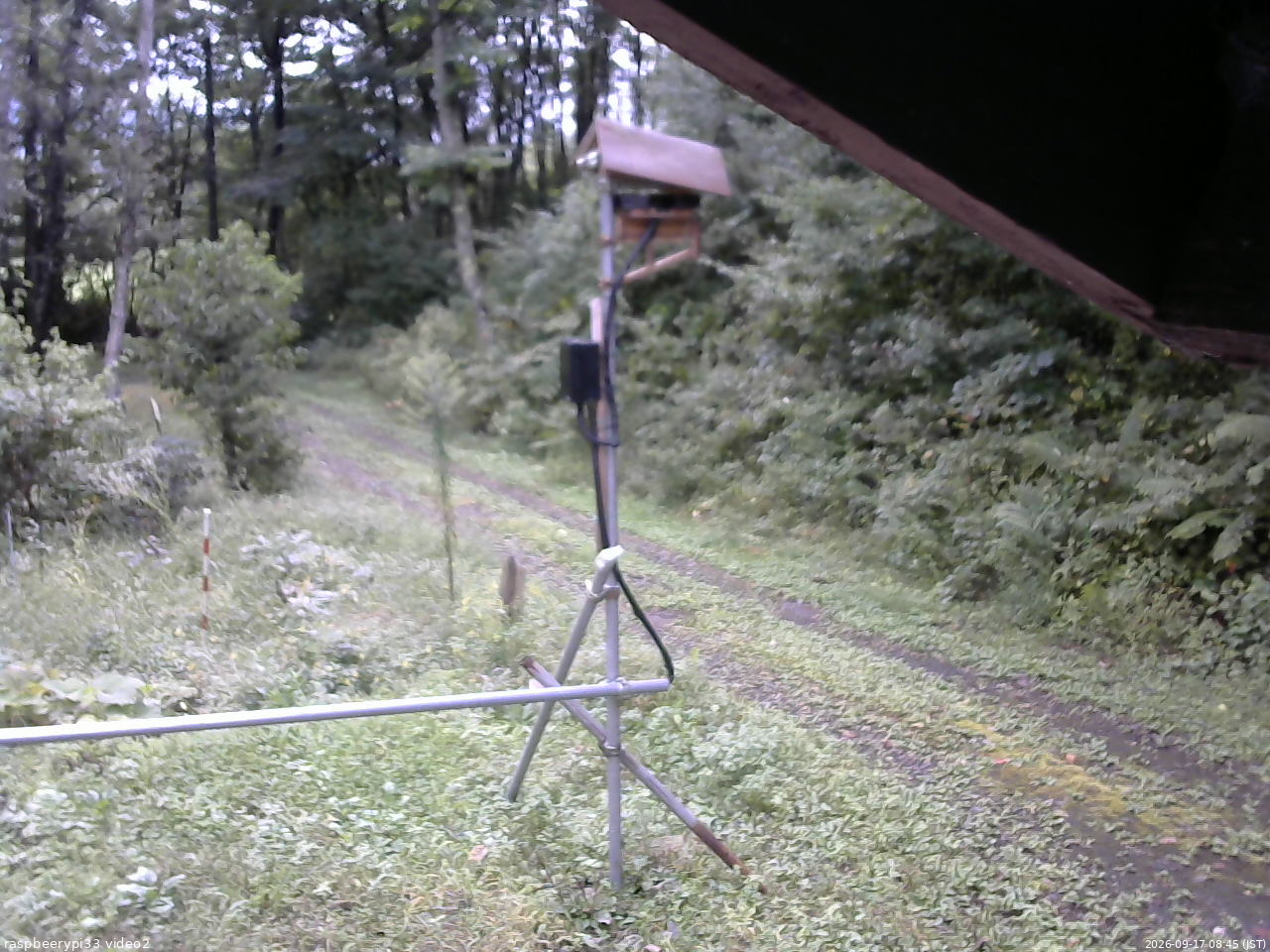 長野県菅平高原 ゆたか山荘 南側 2026/09/17 08:45
