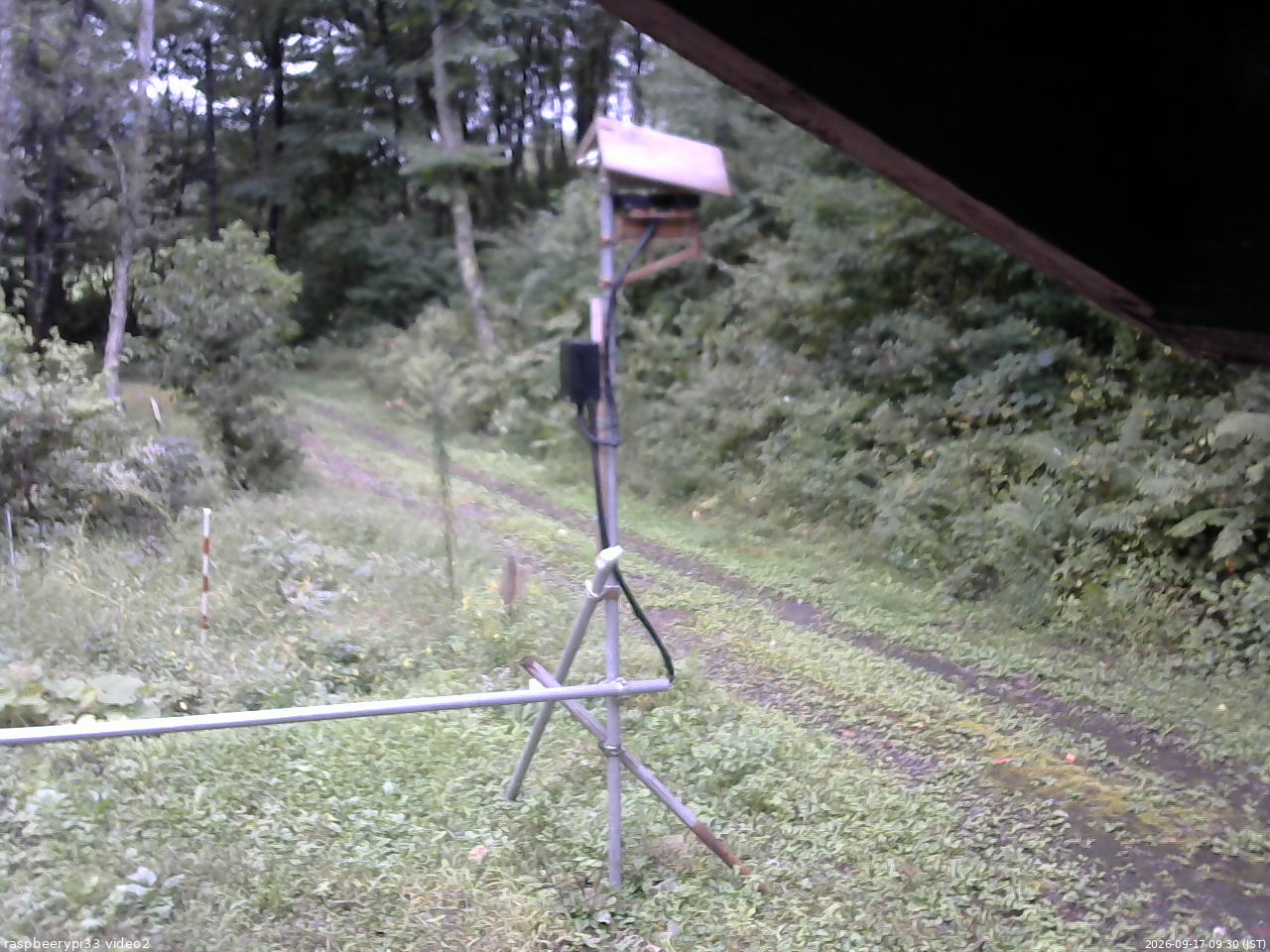 長野県菅平高原 ゆたか山荘 南側 2026/09/17 09:30