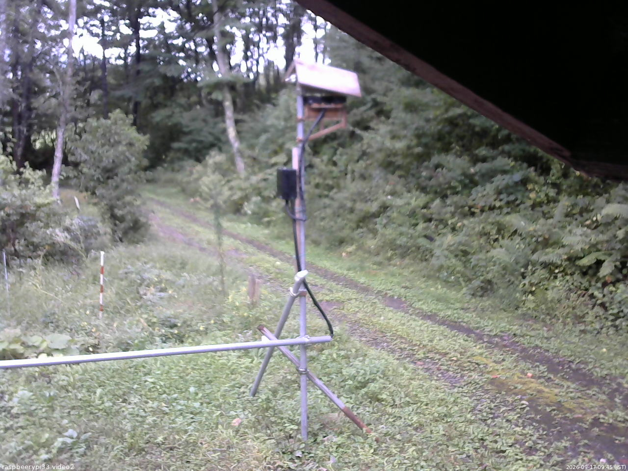 長野県菅平高原 ゆたか山荘 南側 2026/09/17 09:45