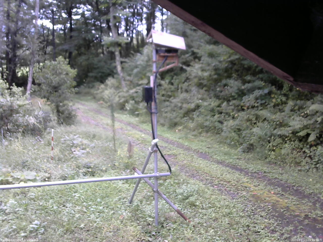 長野県菅平高原 ゆたか山荘 南側 2026/09/17 10:45
