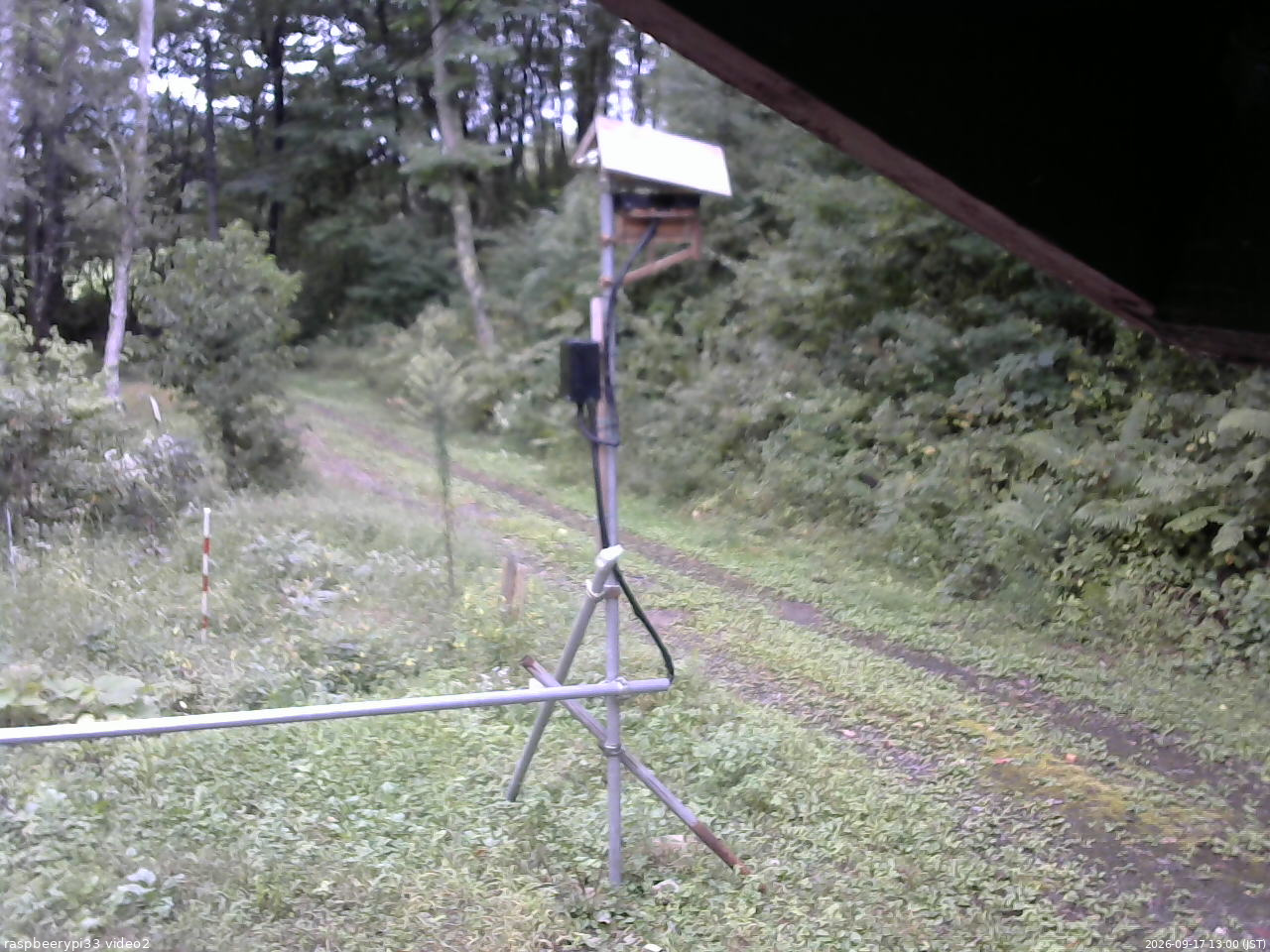 長野県菅平高原 ゆたか山荘 南側 2026/09/17 13:00