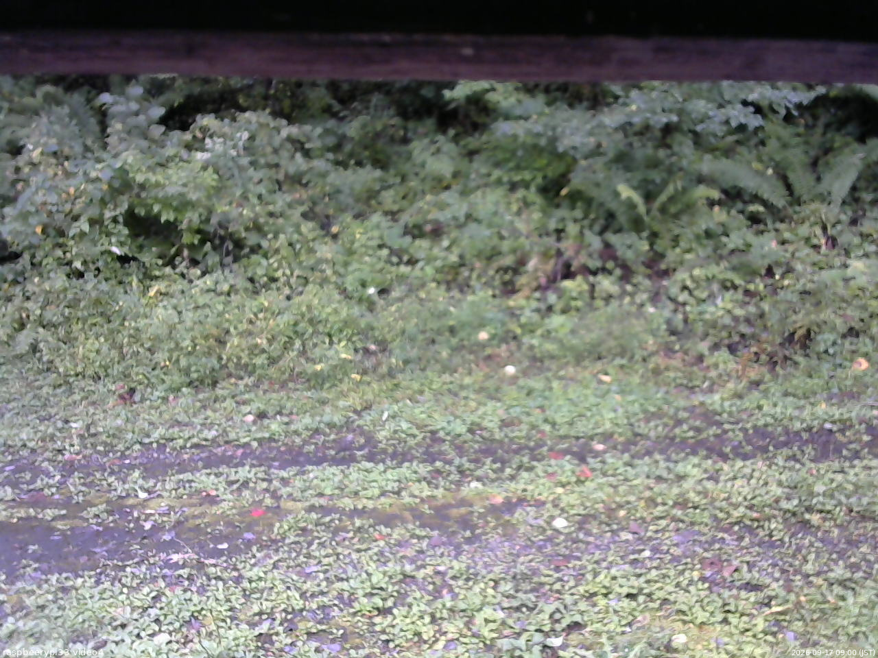 長野県菅平高原 ゆたか山荘 東側(坂下) 2026/09/17 09:00