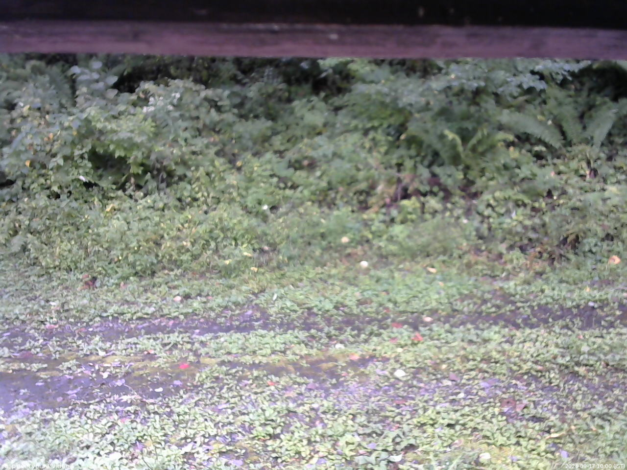 長野県菅平高原 ゆたか山荘 東側(坂下) 2026/09/17 10:00
