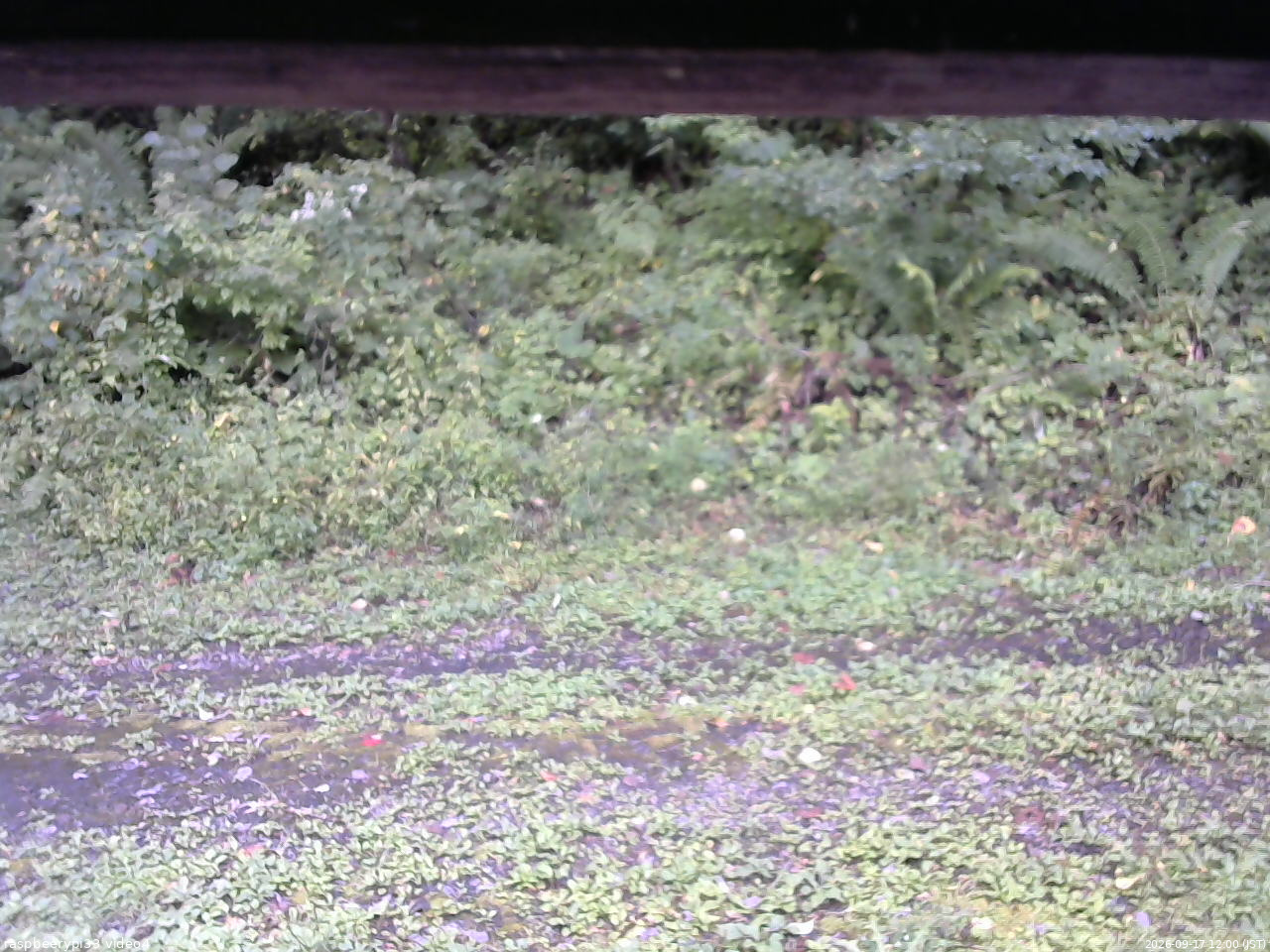 長野県菅平高原 ゆたか山荘 東側(坂下) 2026/09/17 12:00