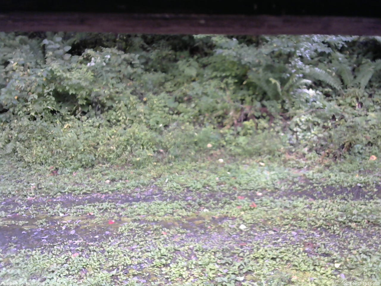 長野県菅平高原 ゆたか山荘 東側(坂下) 2026/09/17 13:15