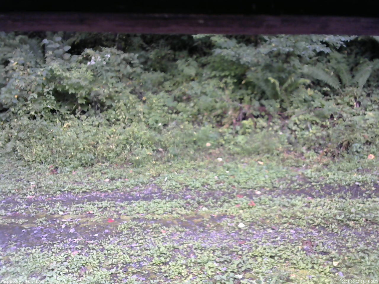 長野県菅平高原 ゆたか山荘 東側(坂下) 2026/09/17 13:45