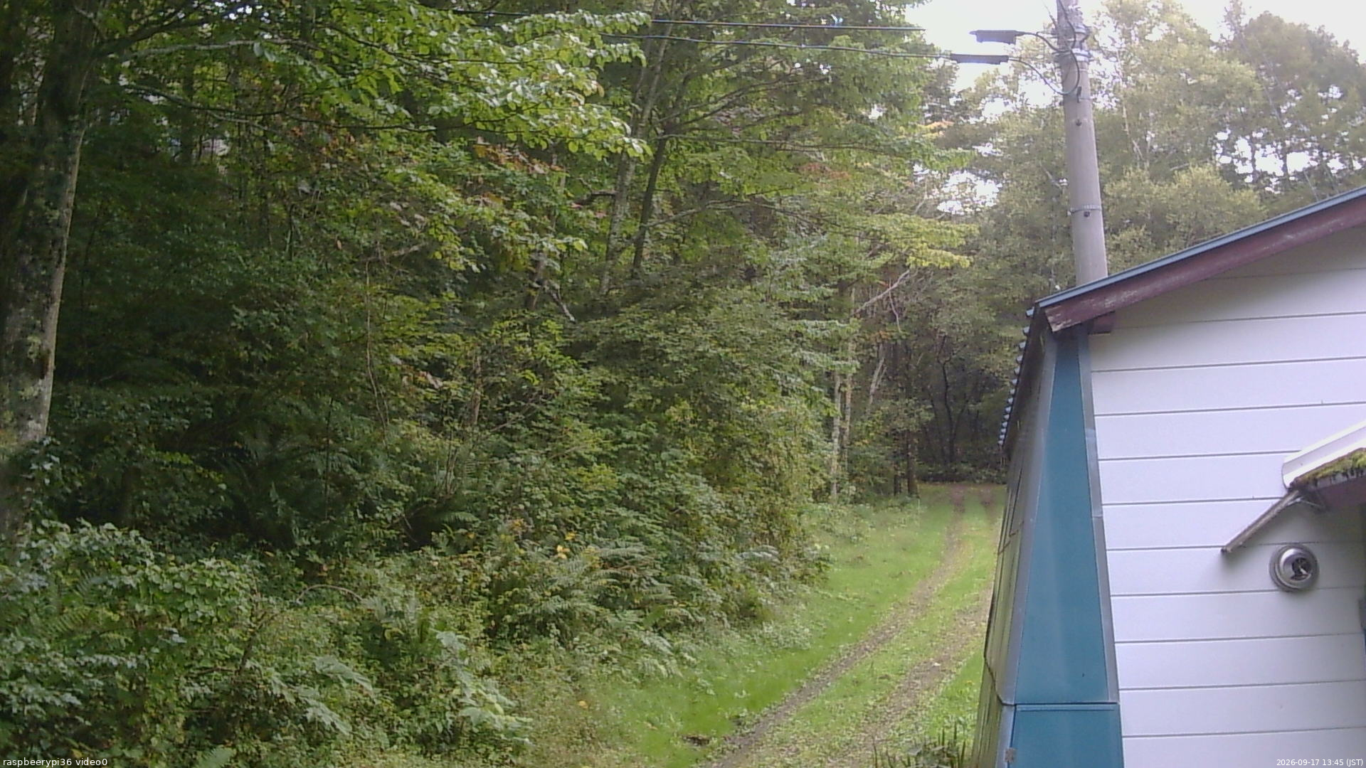 長野県菅平高原 ゆたか山荘 ゆたか山荘 2026/09/17 13:45