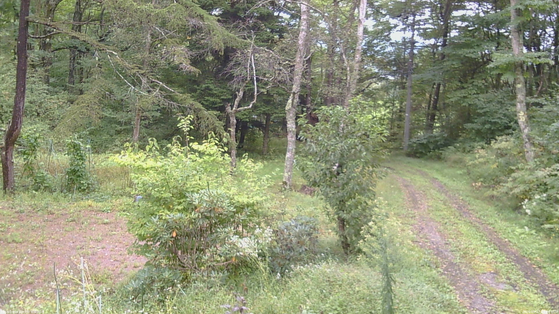 長野県菅平高原 ゆたか山荘 坂上 2026/09/17 13:00