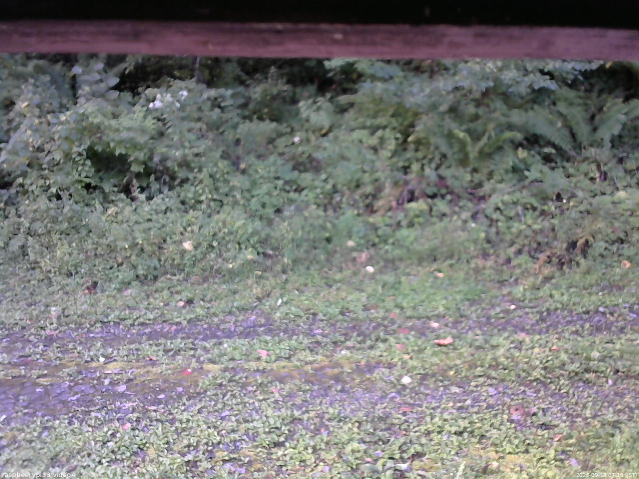 長野県菅平高原 ゆたか山荘 東側(坂下) 2026/09/18 07:15