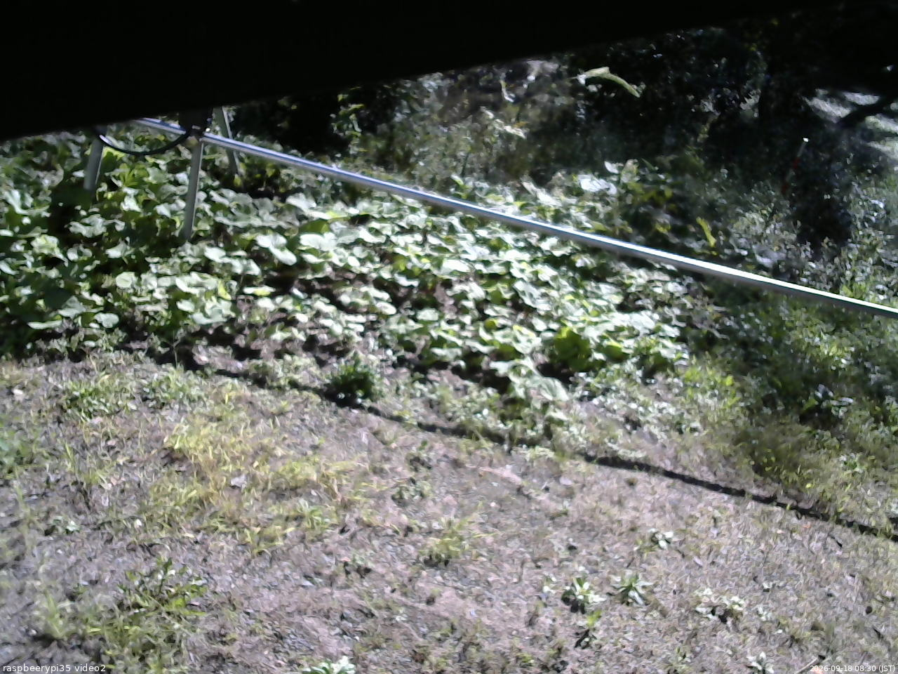 長野県菅平高原 ゆたか山荘 駐車場 2026/09/18 08:30