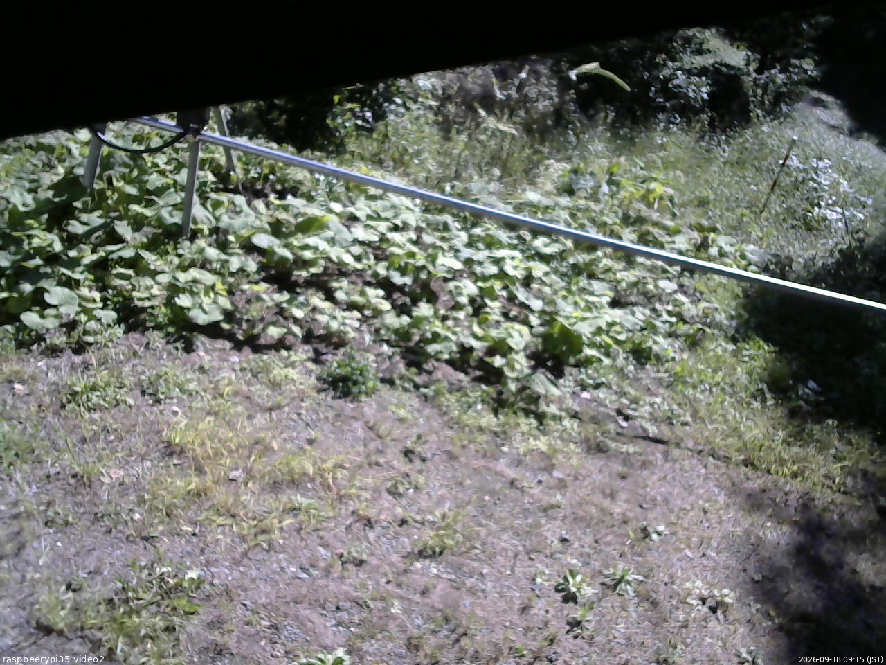 長野県菅平高原 ゆたか山荘 駐車場 2026/09/18 09:15