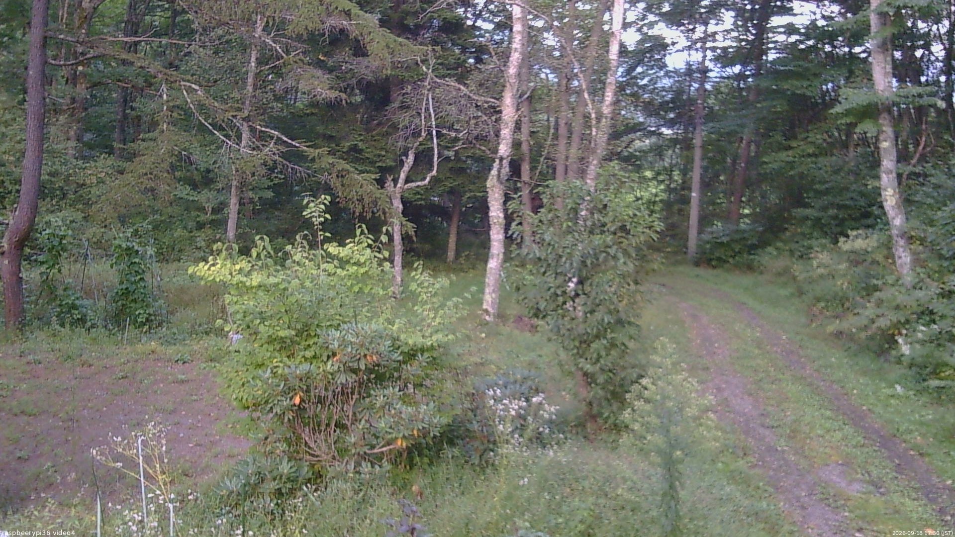 長野県菅平高原 ゆたか山荘 坂上 2026/09/18 17:30