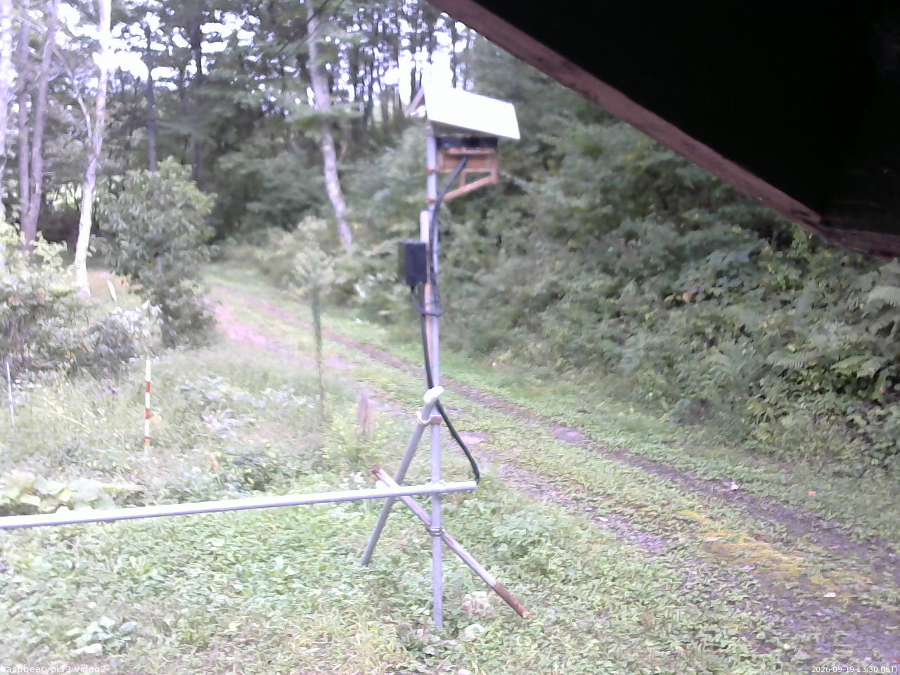 長野県菅平高原 ゆたか山荘 南側 2026/09/19 13:30