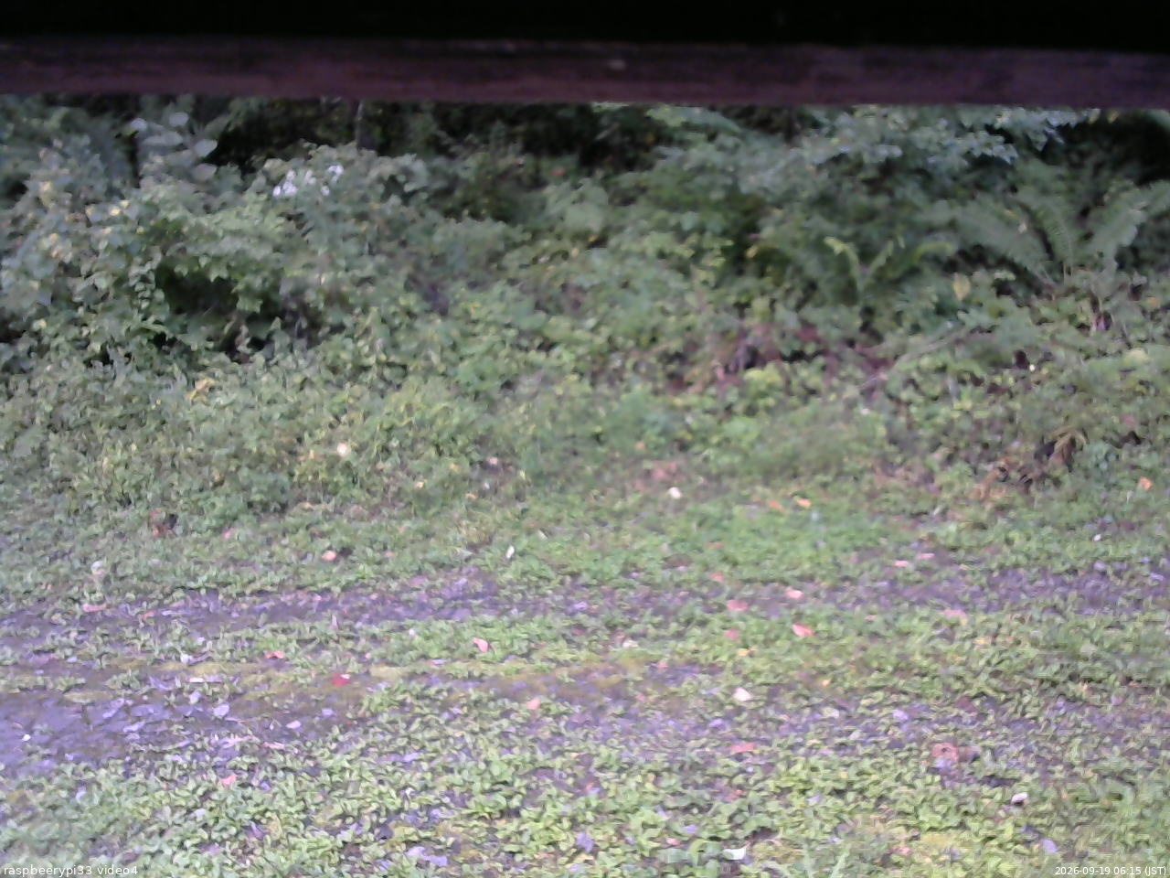 長野県菅平高原 ゆたか山荘 東側(坂下) 2026/09/19 06:15