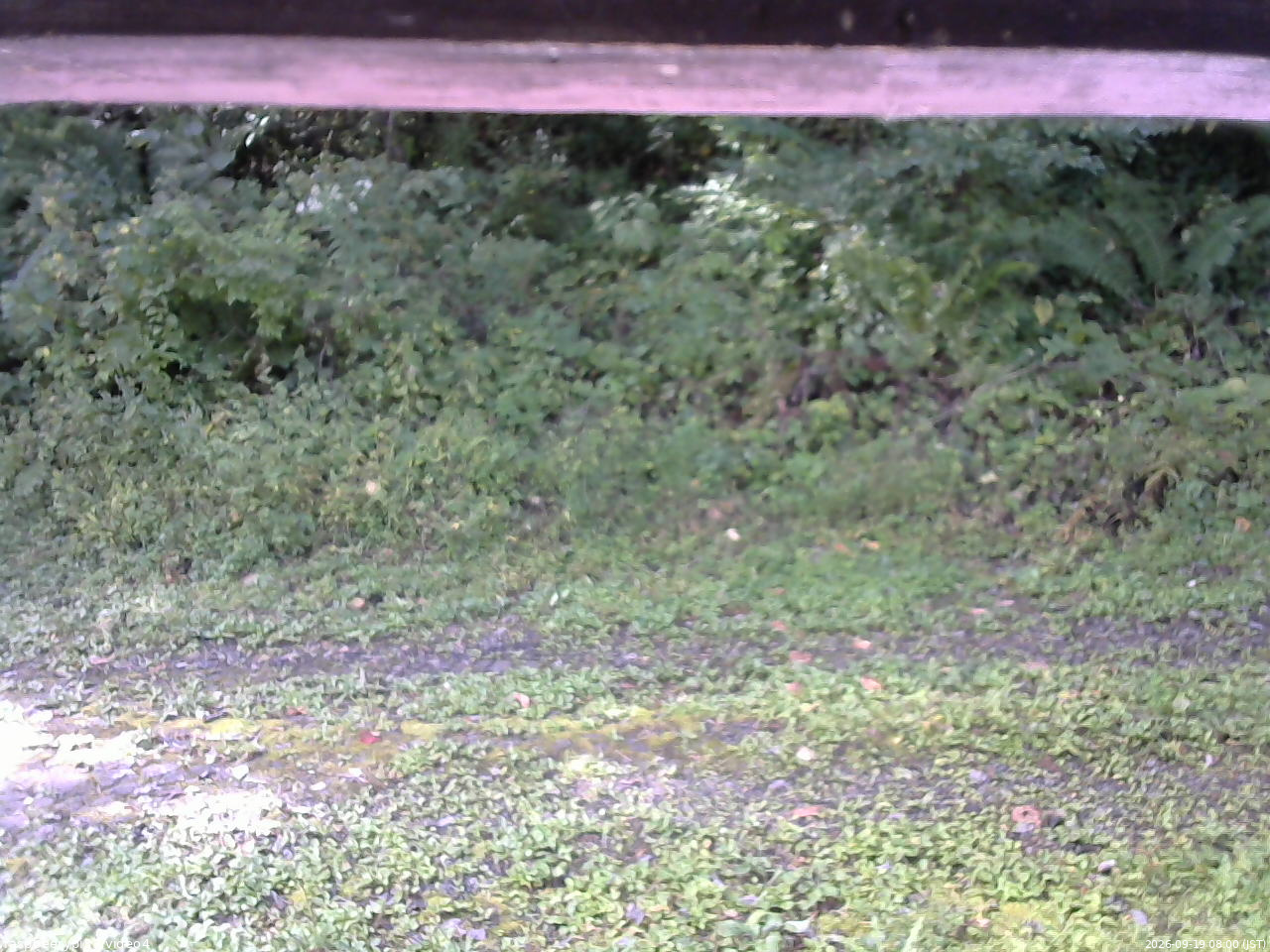 長野県菅平高原 ゆたか山荘 東側(坂下) 2026/09/19 08:00