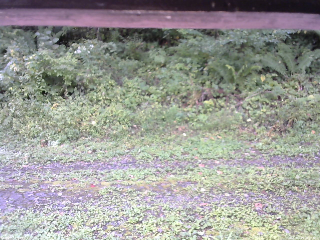 長野県菅平高原 ゆたか山荘 東側(坂下) 2026/09/19 08:45