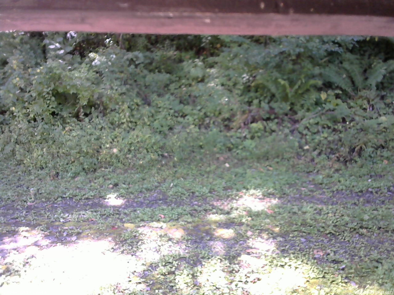 長野県菅平高原 ゆたか山荘 東側(坂下) 2026/09/19 09:45