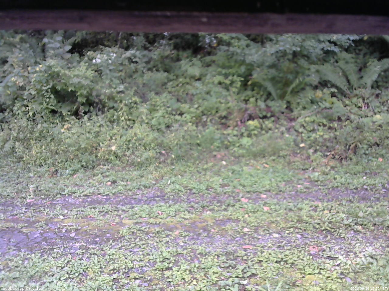 長野県菅平高原 ゆたか山荘 東側(坂下) 2026/09/19 12:00