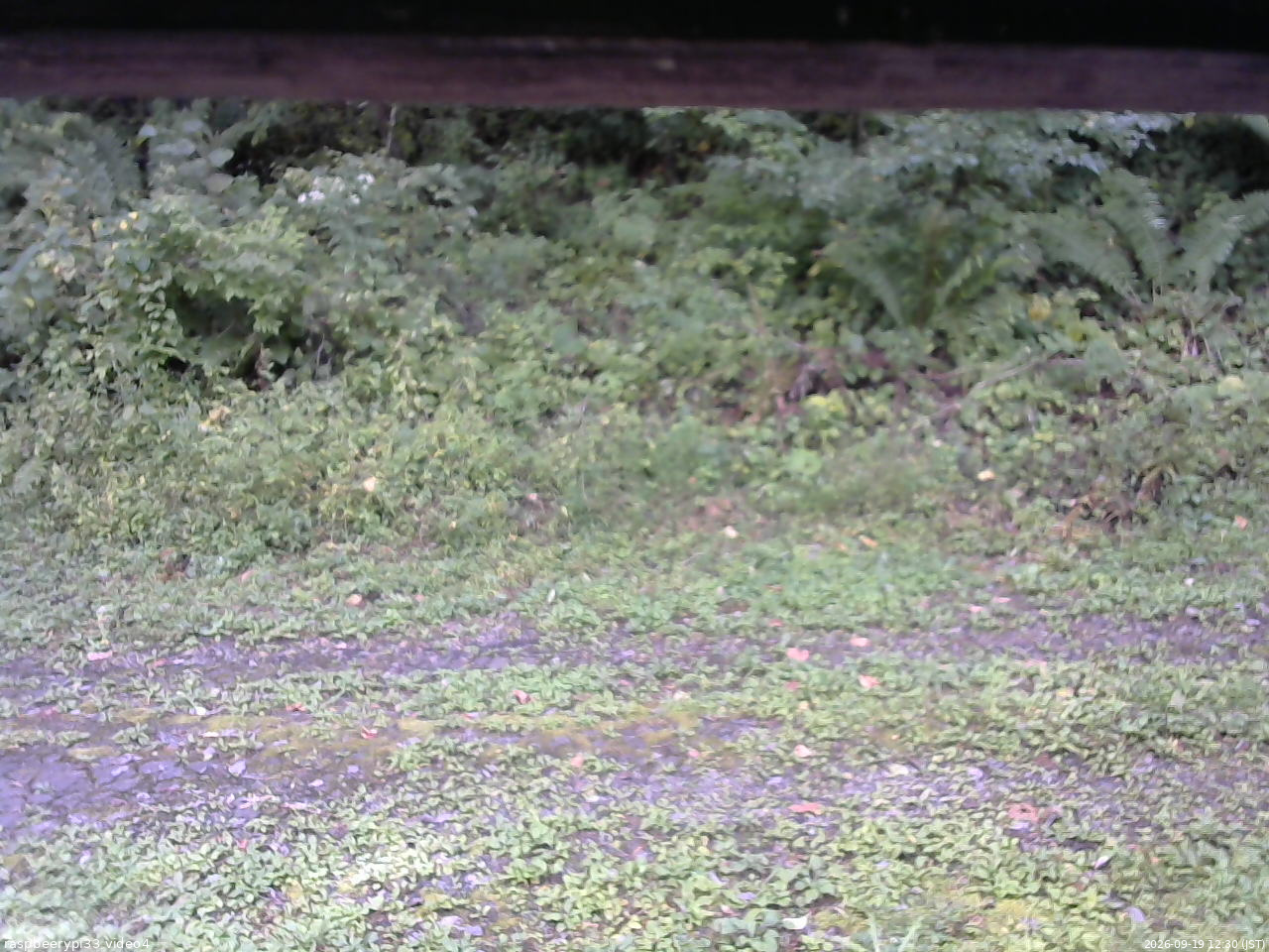 長野県菅平高原 ゆたか山荘 東側(坂下) 2026/09/19 12:30